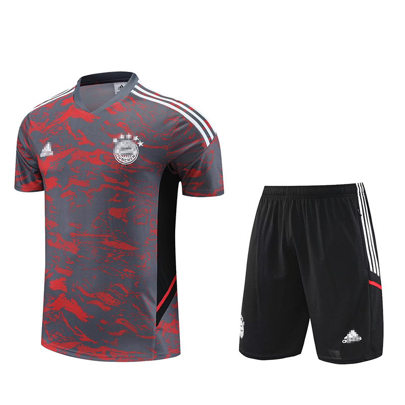 Camiseta de Entrenamiento de Bayern Múnich 2023/2024 Gris/Rojo